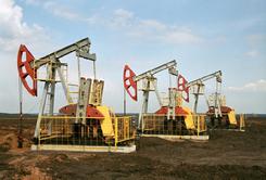 Oil Pumps