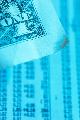 Stock Rights Calculator